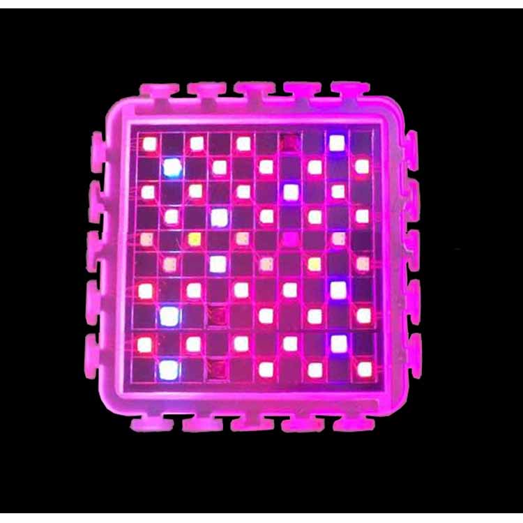 LED Grow Lights and Plant Lights for Indoor plants